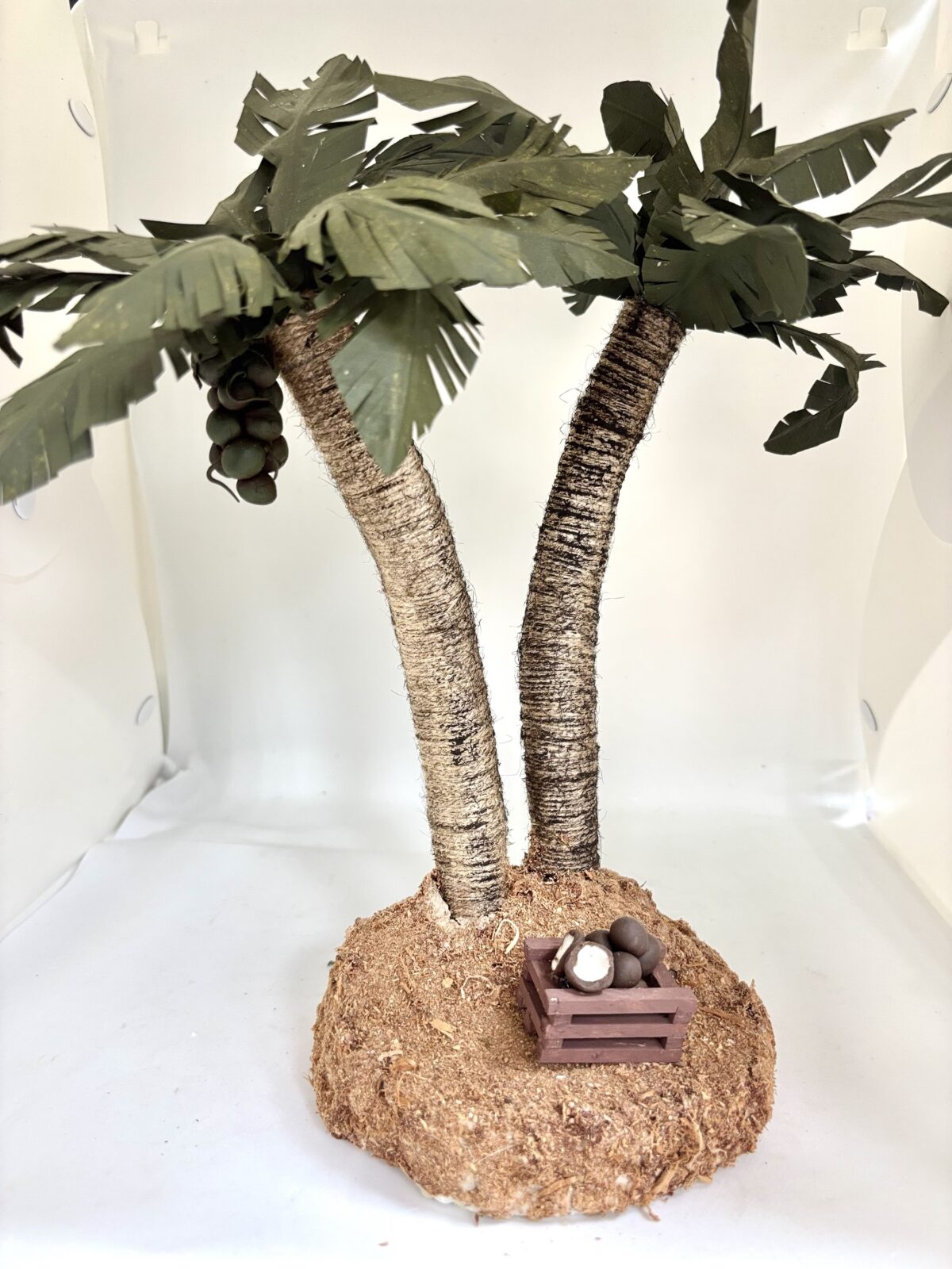 Palmeras - Imagen 2