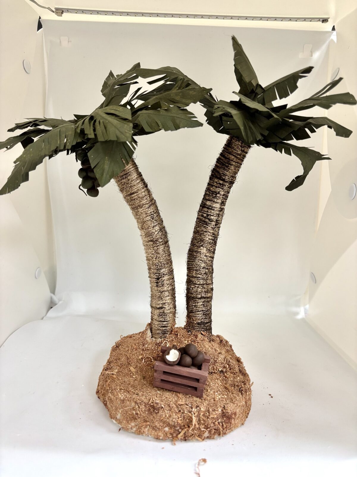 Palmeras
